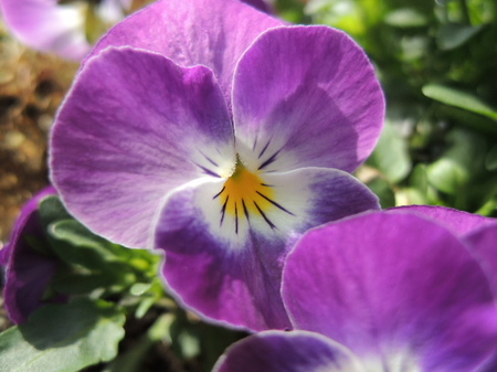 DSCN0017.JPG