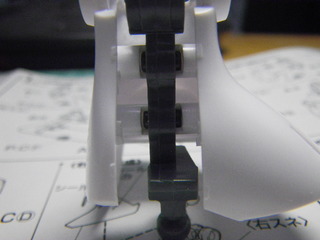 IMGP1086.JPG