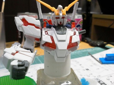 NEC_0029.JPG